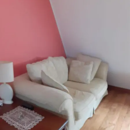 La Freccia E Il Leone