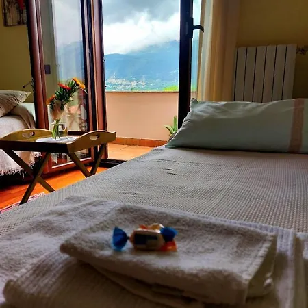 La Freccia E Il Leone