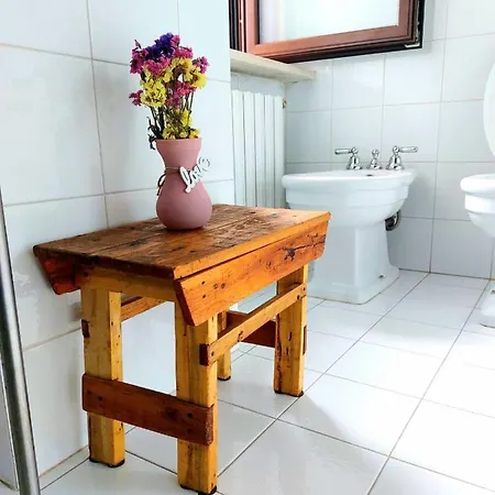 La Freccia E Il Leone