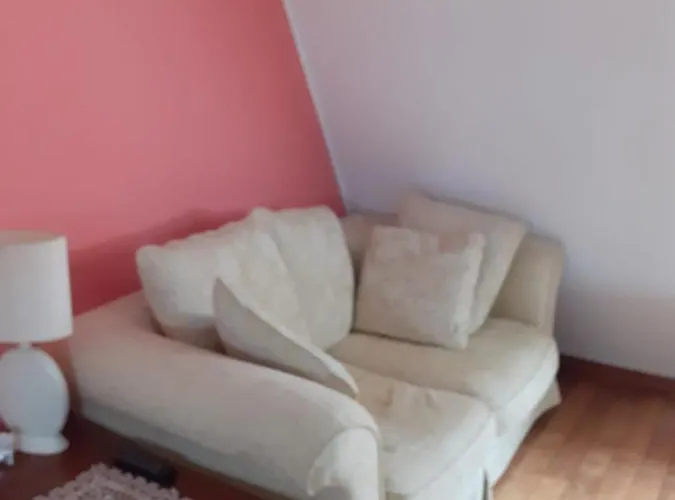 La Freccia E Il Leone