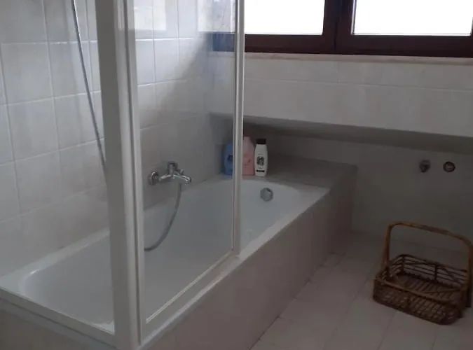 La Freccia E Il Leone