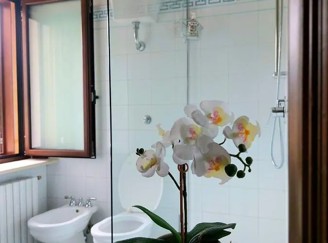 La Freccia E Il Leone Pratola Peligna