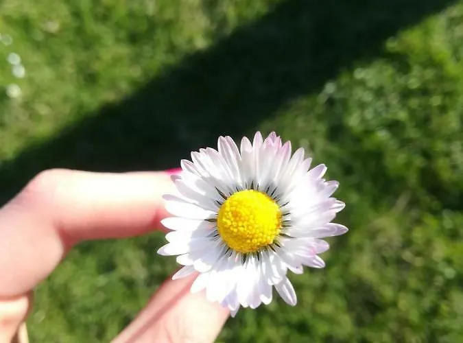 La Freccia E Il Leone Pensión Pratola Peligna